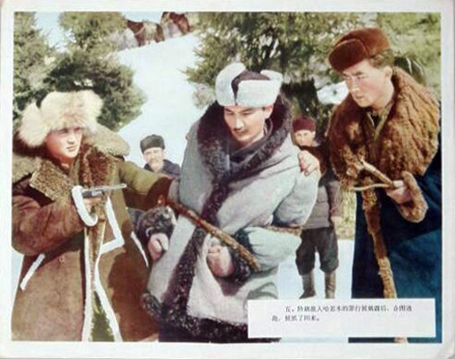 天山的红花剧照的剧照