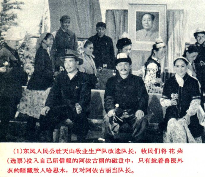 天山的红花剧照的剧照