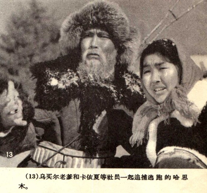 天山的红花剧照的剧照