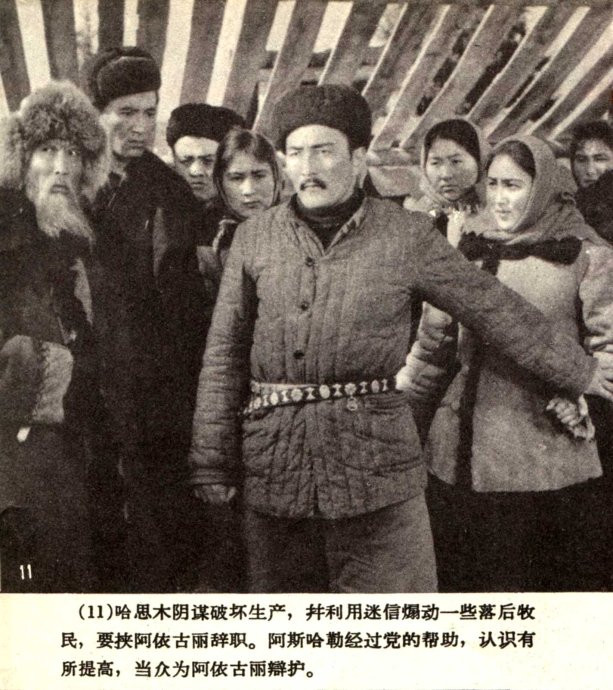 天山的红花剧照的剧照