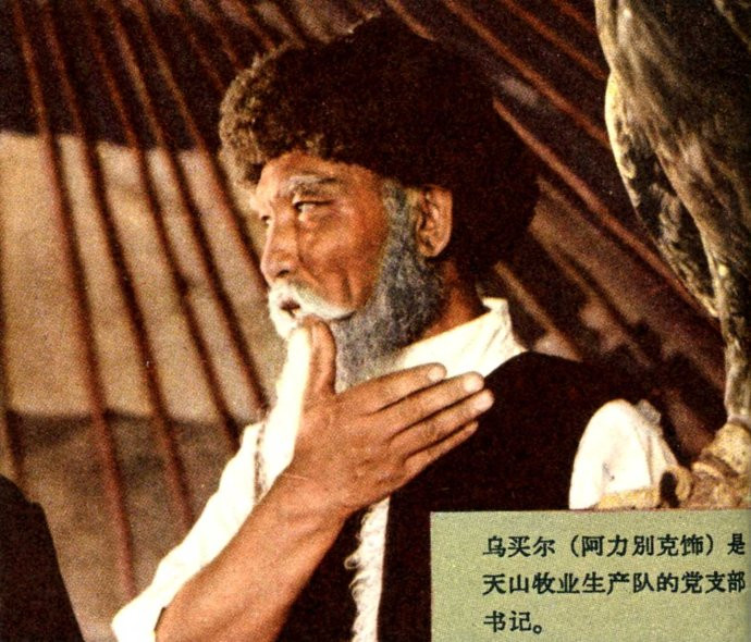 天山的红花剧照的剧照