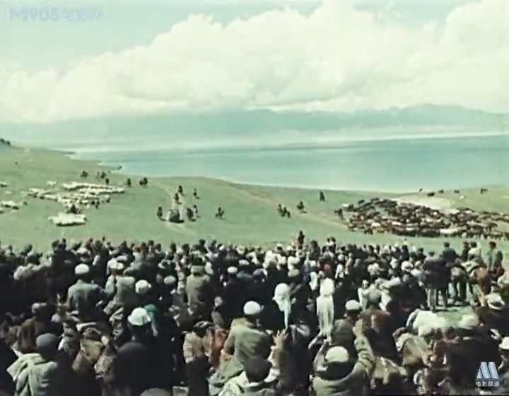 天山的红花剧照的剧照