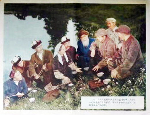 天山的红花剧照的剧照