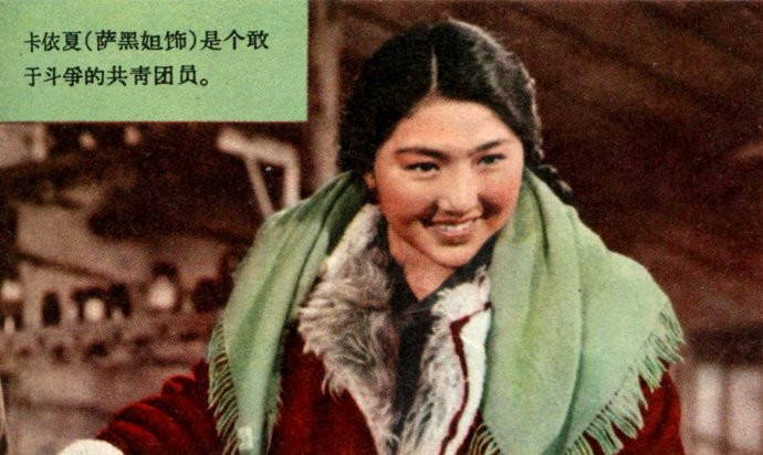 天山的红花剧照的剧照