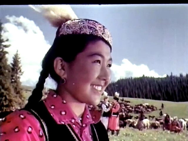 天山的红花剧照的剧照