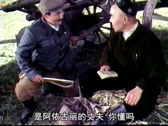 天山的红花剧照的剧照