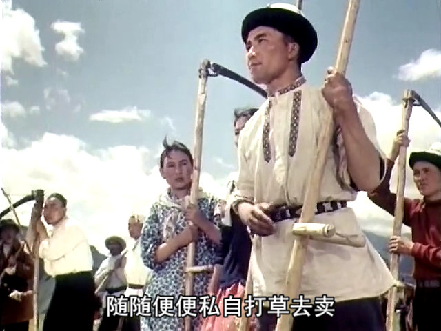 天山的红花剧照的剧照