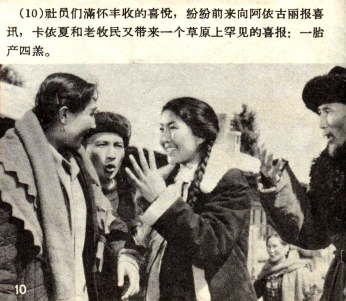 天山的红花剧照的剧照