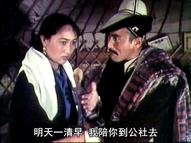 天山的红花剧照的剧照