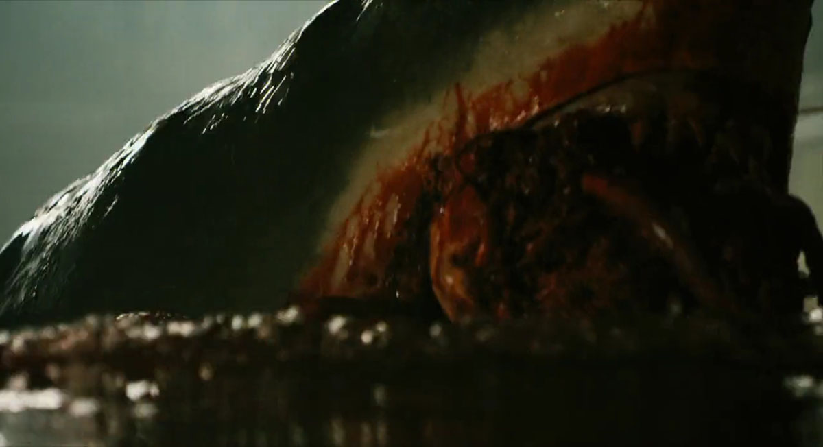 大海啸之鲨口逃生剧照的剧照