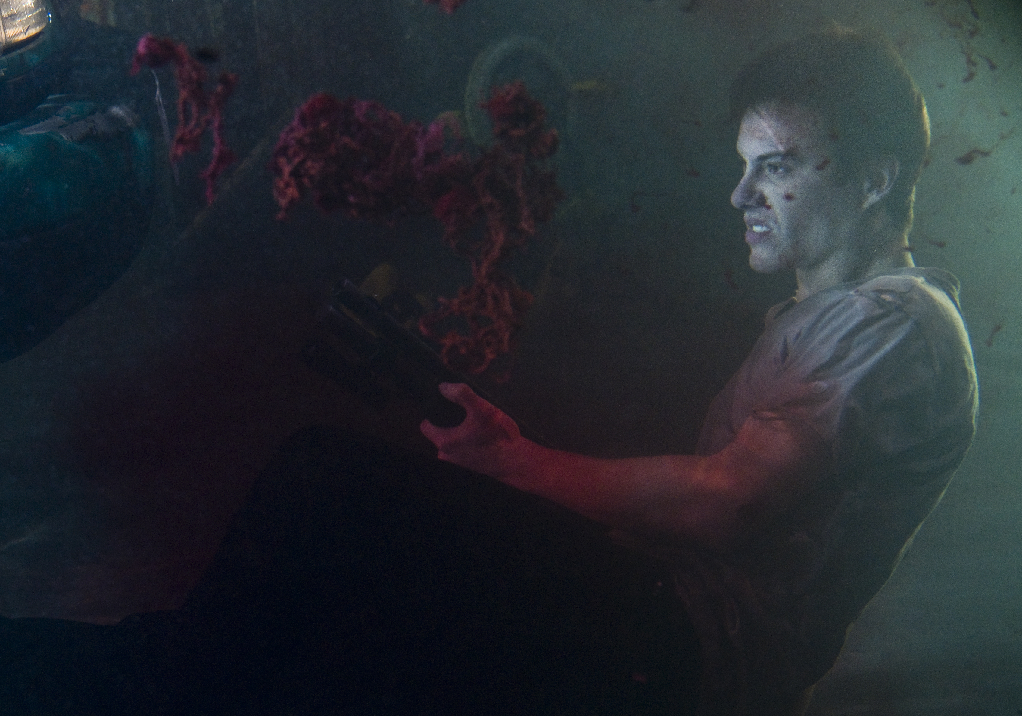 大海啸之鲨口逃生剧照的剧照