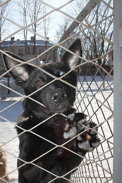 嘴角余温剧照的剧照