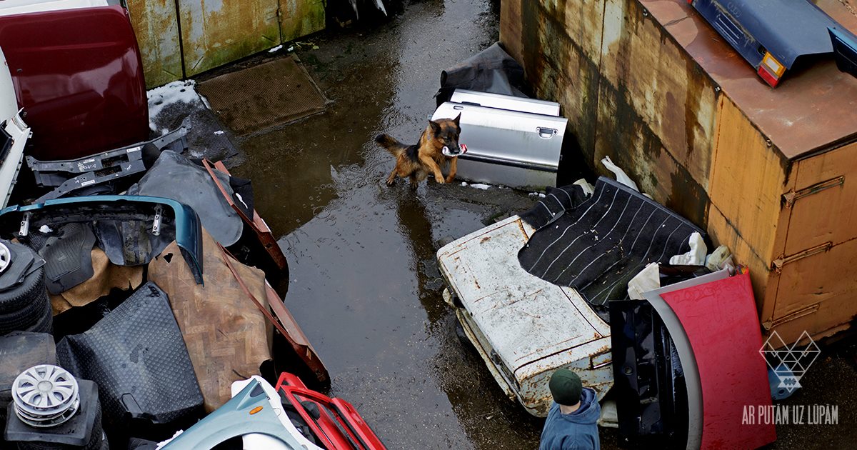 嘴角余温剧照的剧照