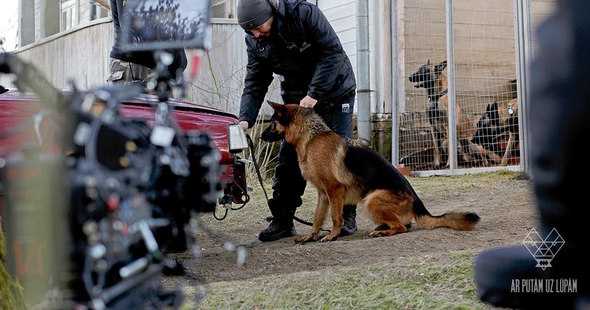 嘴角余温剧照的剧照