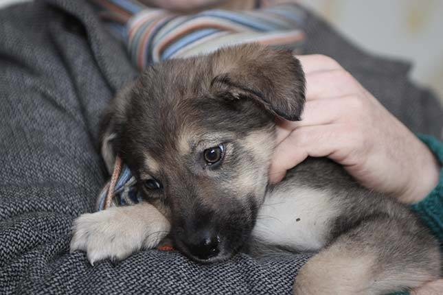 嘴角余温剧照的剧照