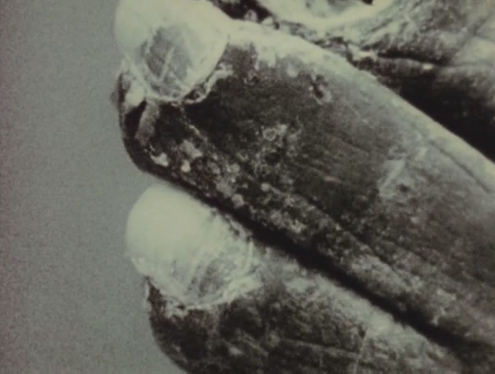 麦哲伦在死亡门前 第一部分 红门 I 0剧照的剧照