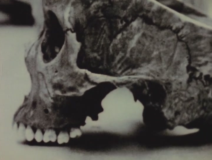 麦哲伦在死亡门前 第一部分 红门 I 0剧照的剧照