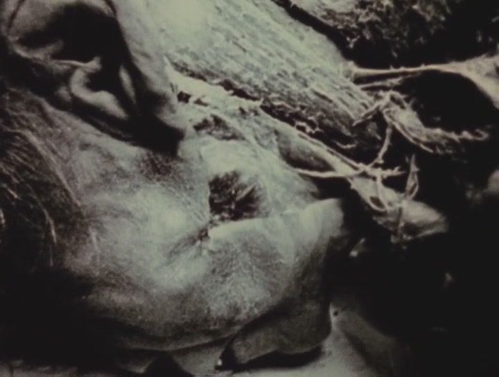 麦哲伦在死亡门前 第一部分 红门 I 0剧照的剧照