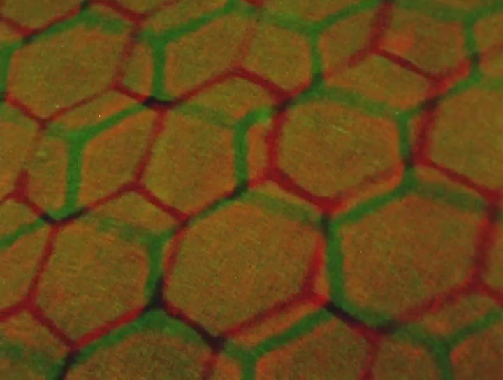 麦哲伦在死亡门前 第一部分 红门 I 0剧照的剧照