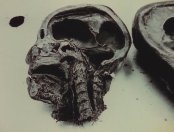 麦哲伦在死亡门前 第一部分 红门 I 0剧照的剧照