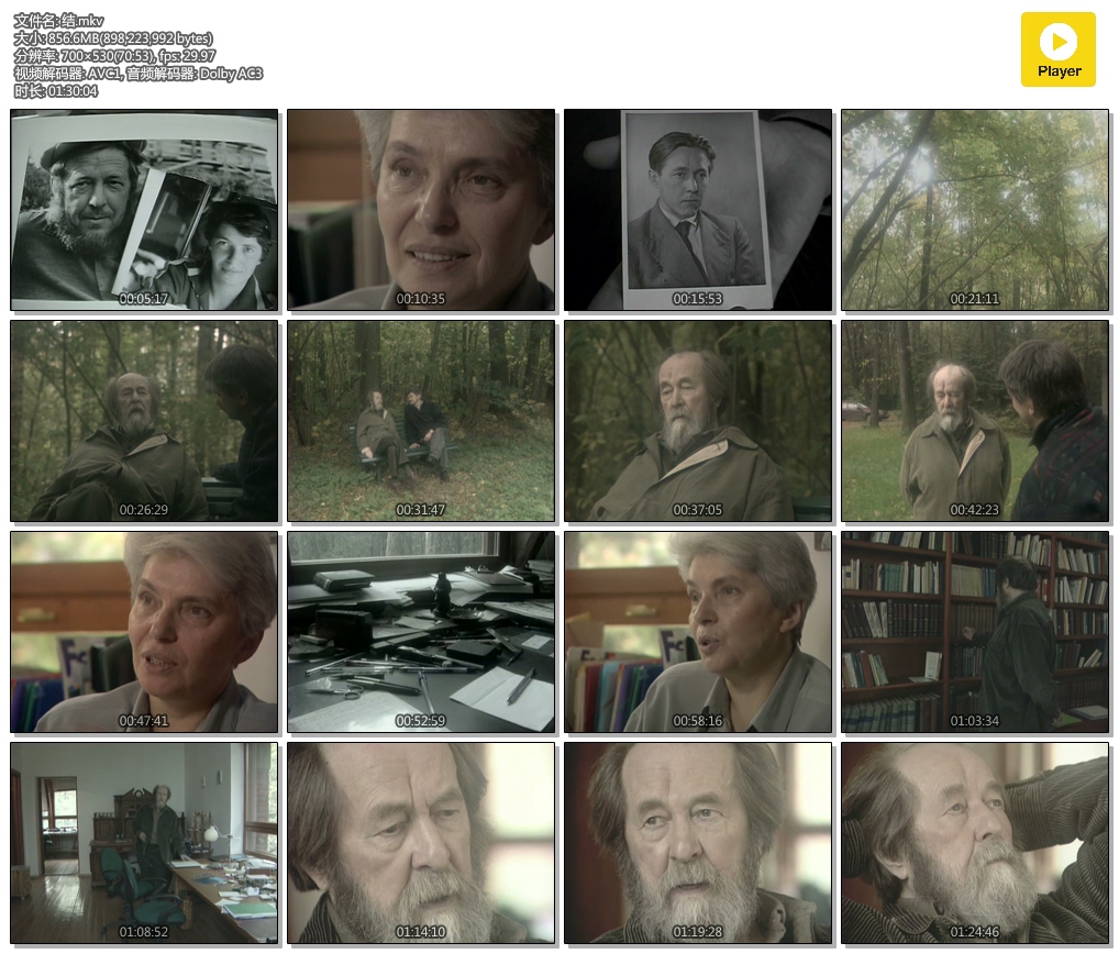 对话索尔仁尼琴剧照的剧照