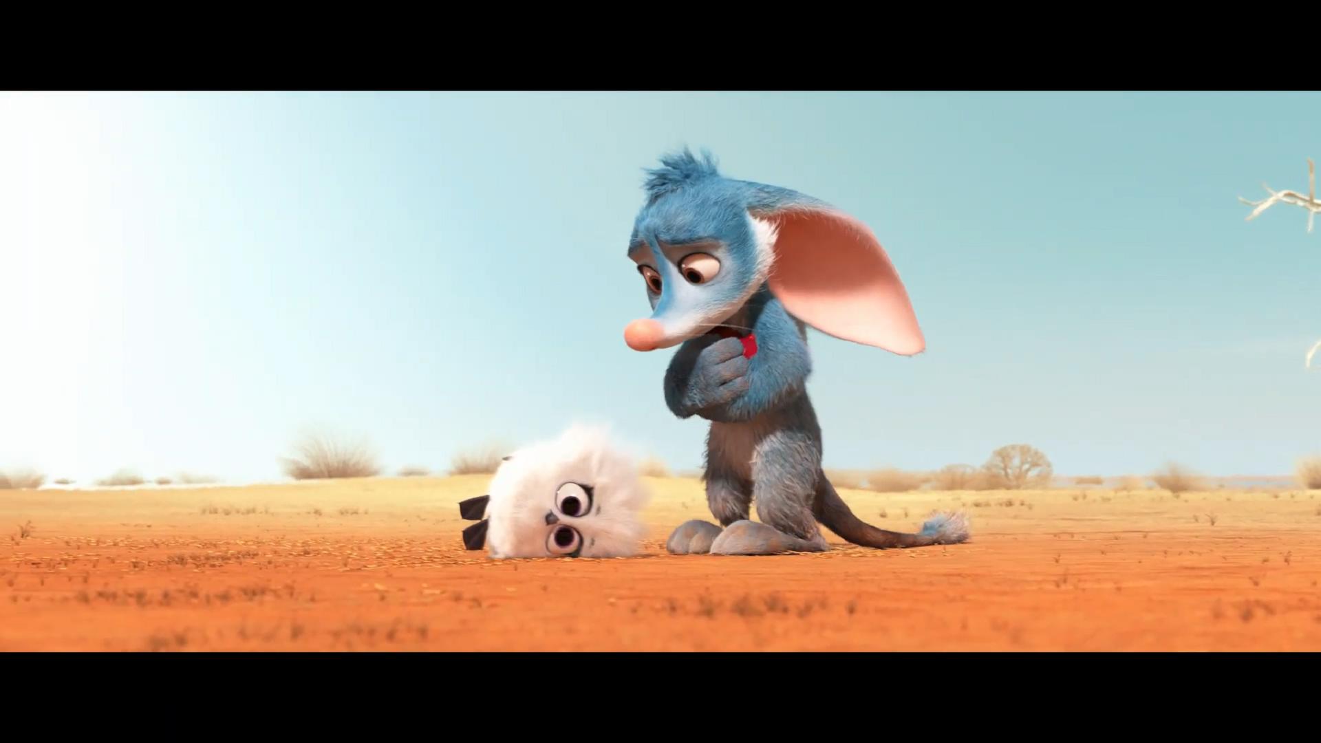 兔耳袋狸剧照的剧照