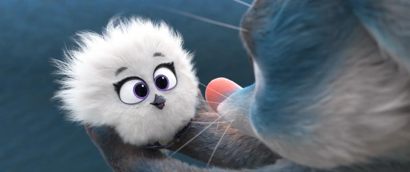 兔耳袋狸剧照的剧照