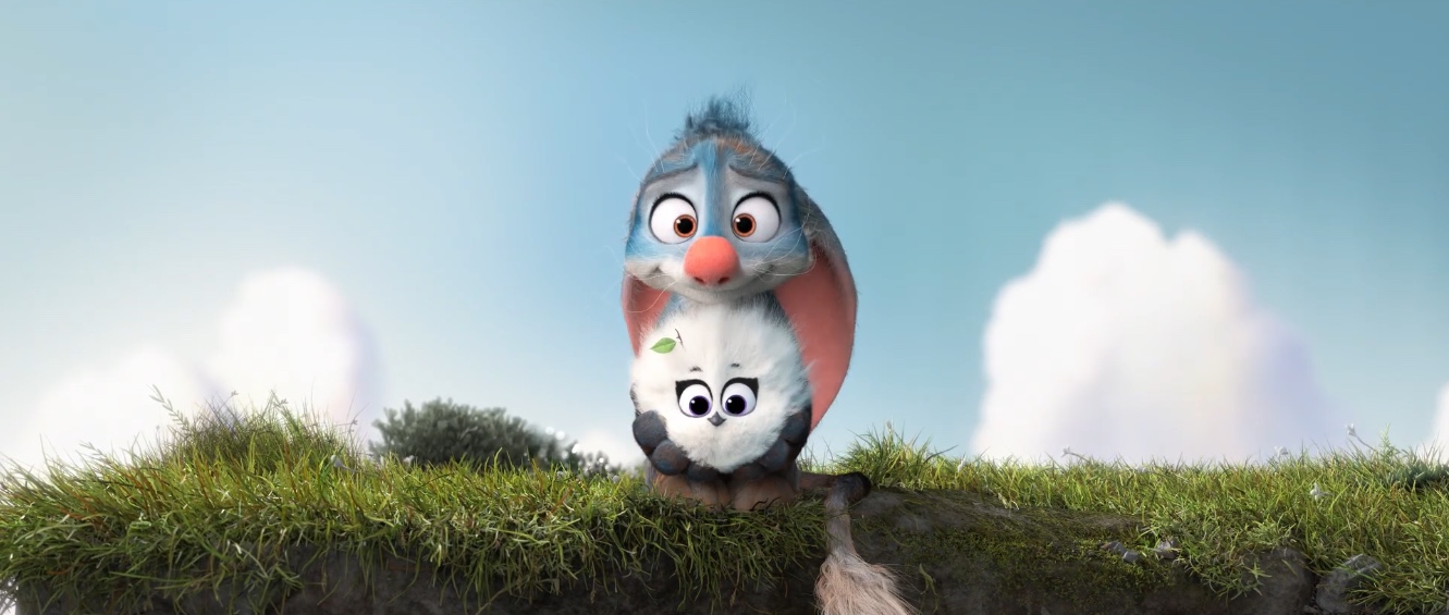 兔耳袋狸剧照的剧照