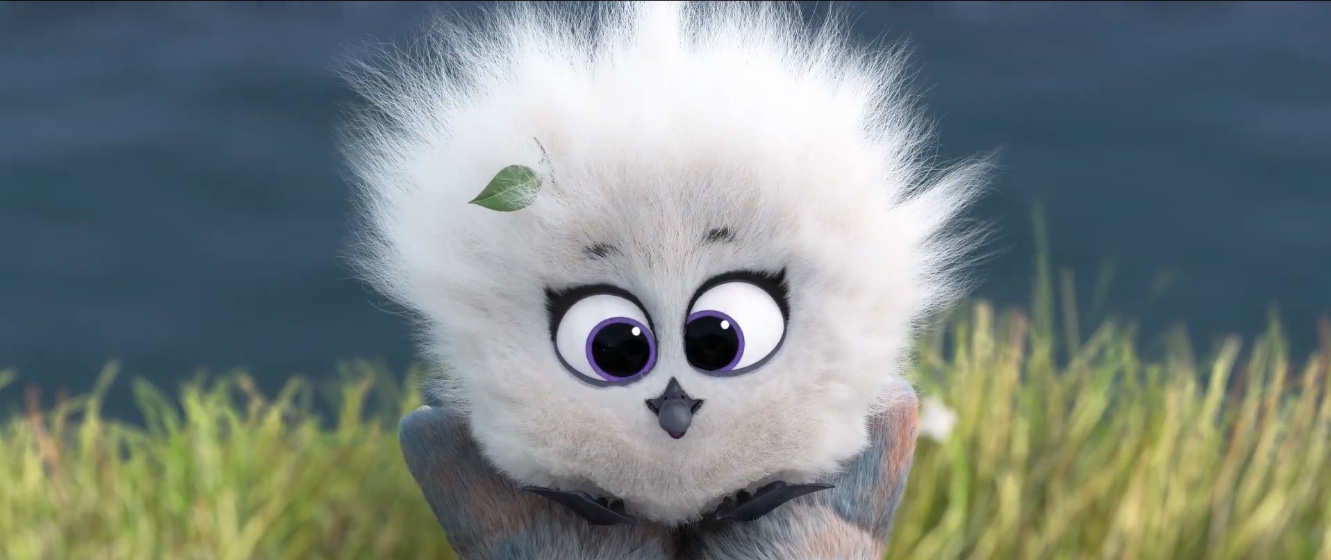 兔耳袋狸剧照的剧照