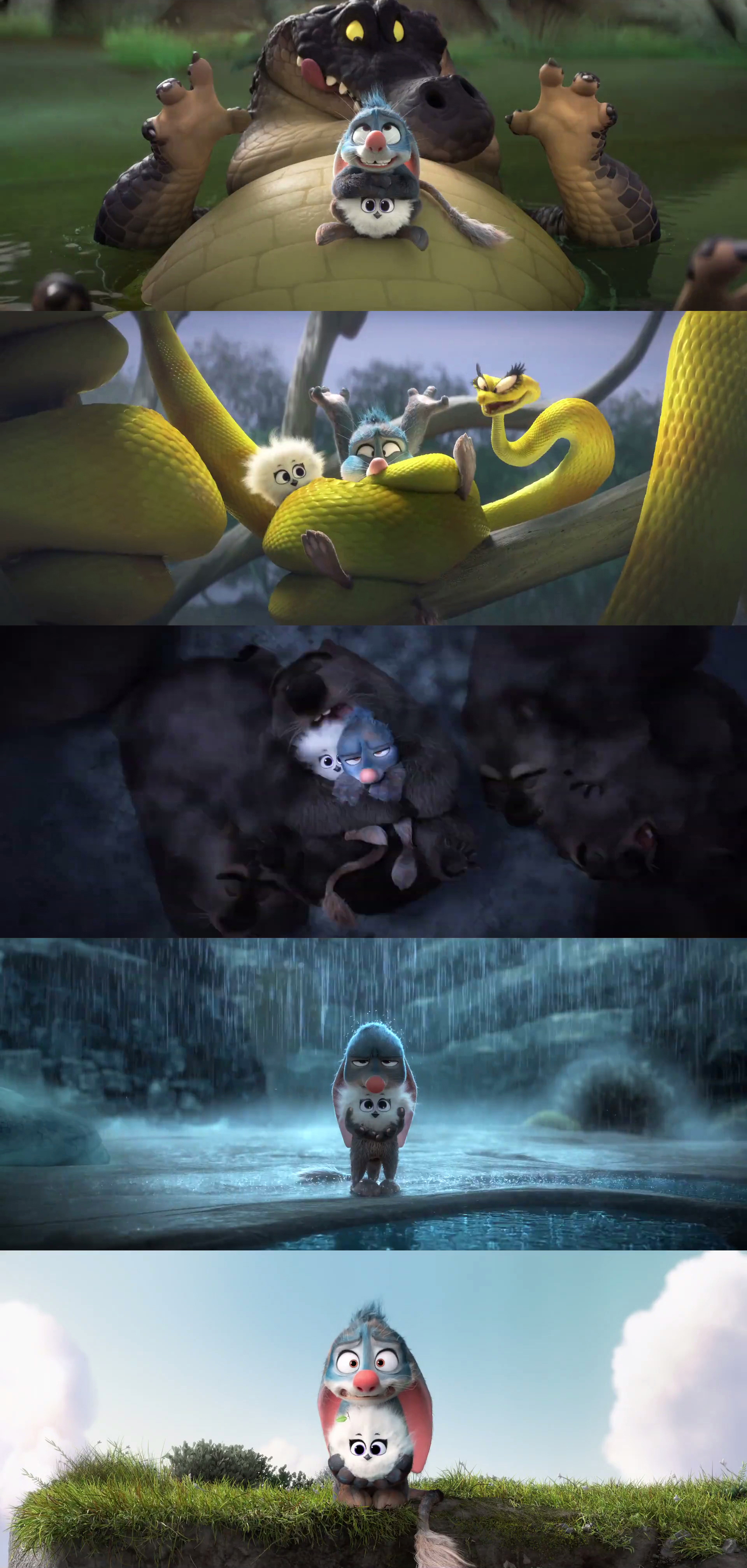 兔耳袋狸剧照的剧照