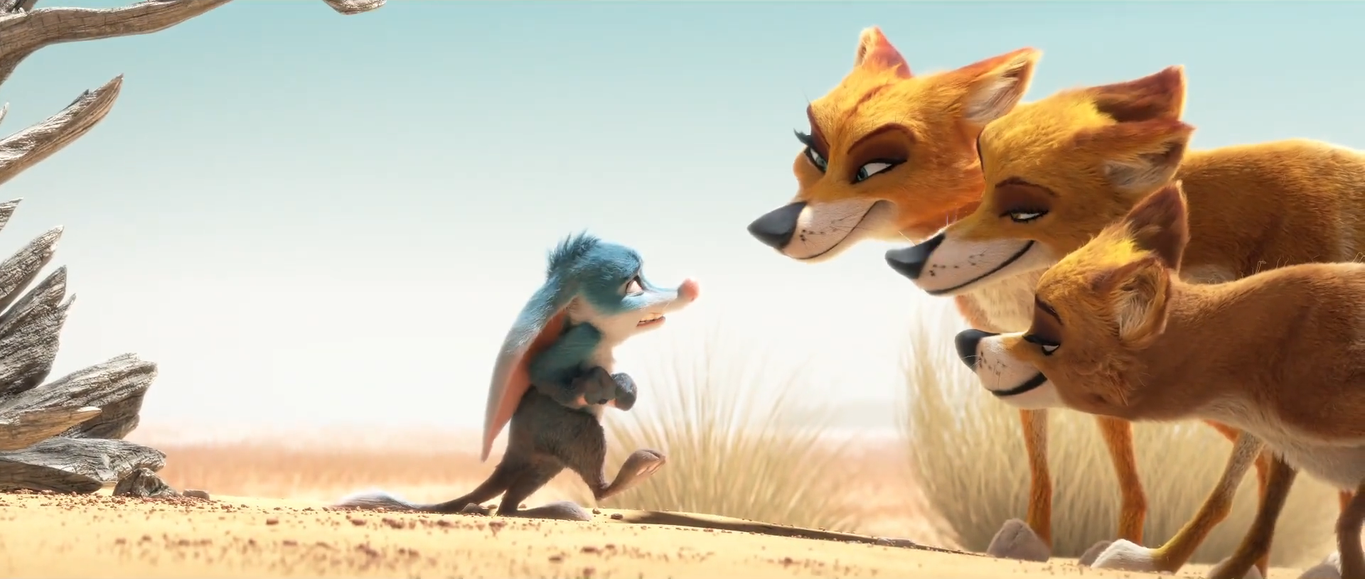 兔耳袋狸剧照的剧照