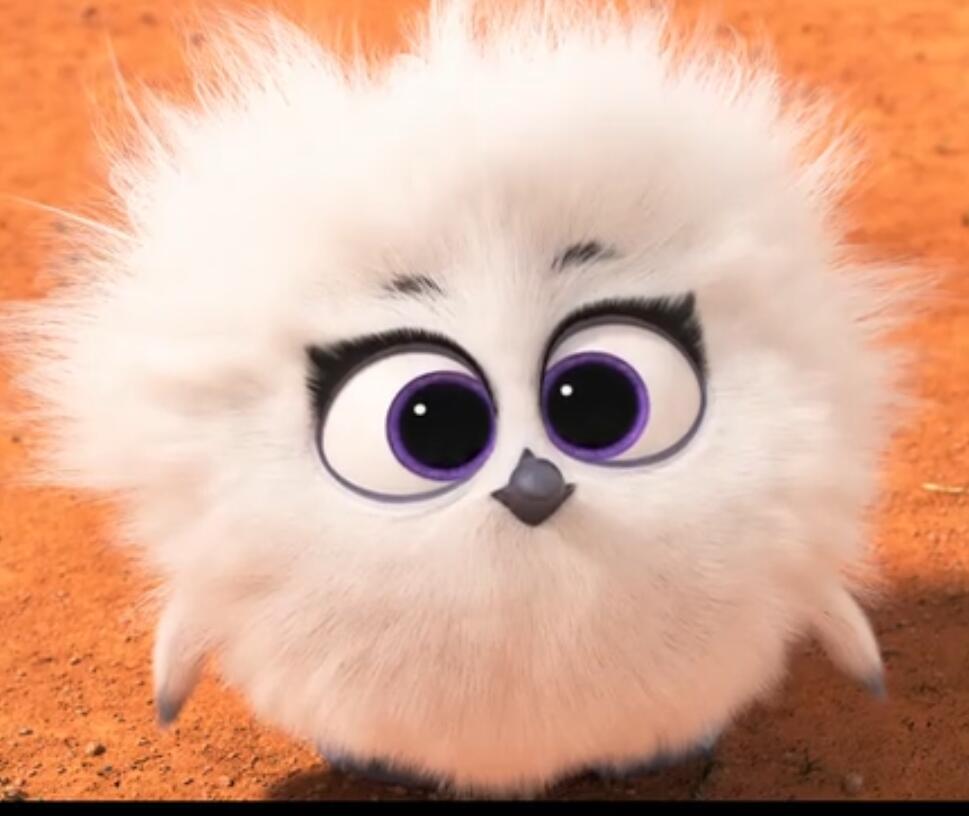 兔耳袋狸剧照的剧照