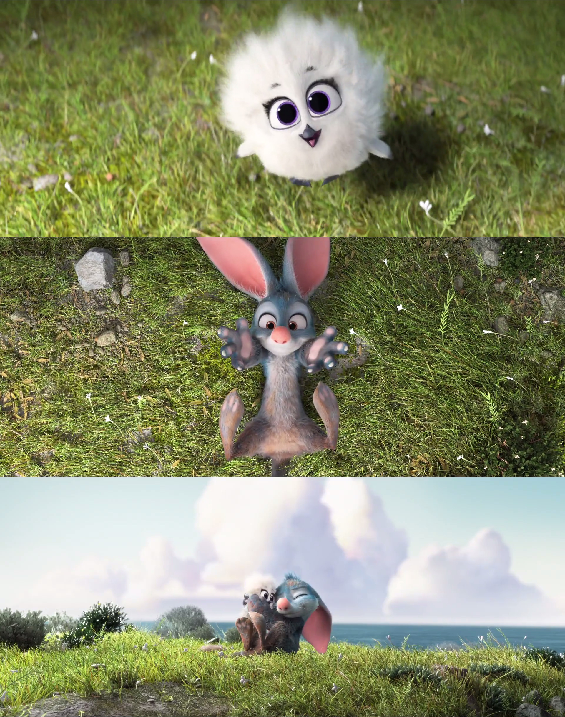 兔耳袋狸剧照的剧照