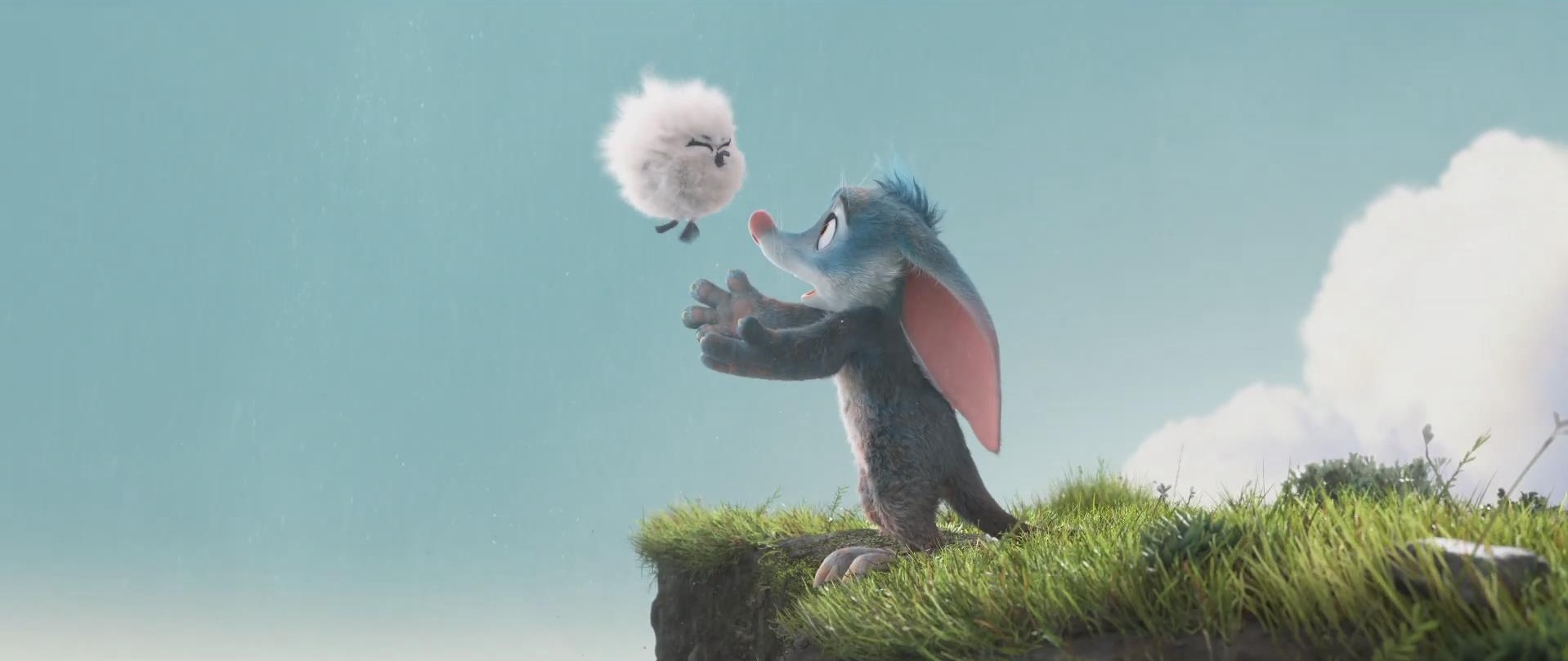 兔耳袋狸剧照的剧照