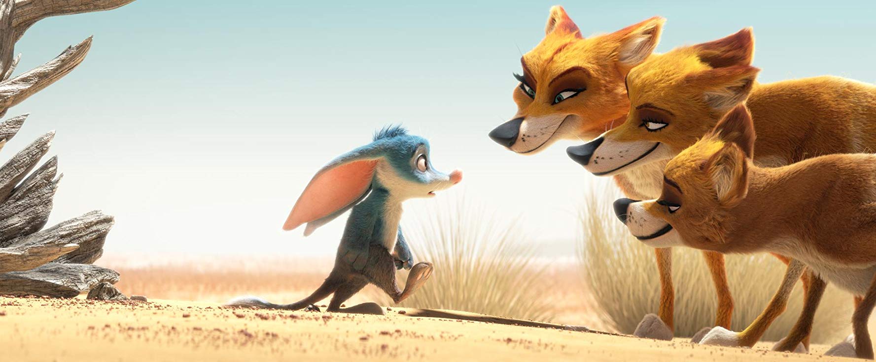 兔耳袋狸剧照的剧照