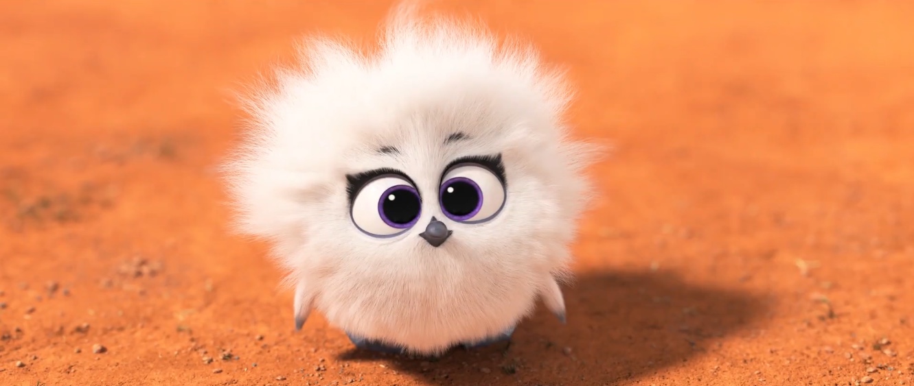 兔耳袋狸剧照的剧照