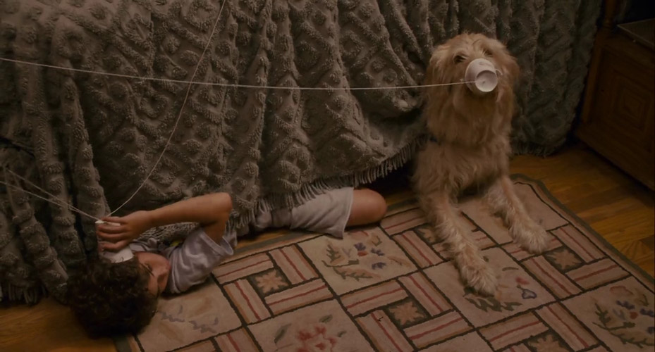 长大成人剧照的剧照