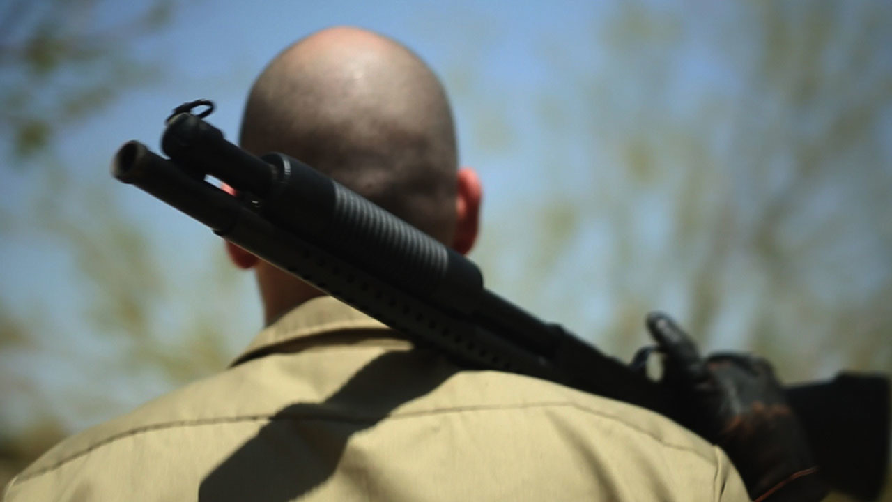 美国黑帮剧照的剧照