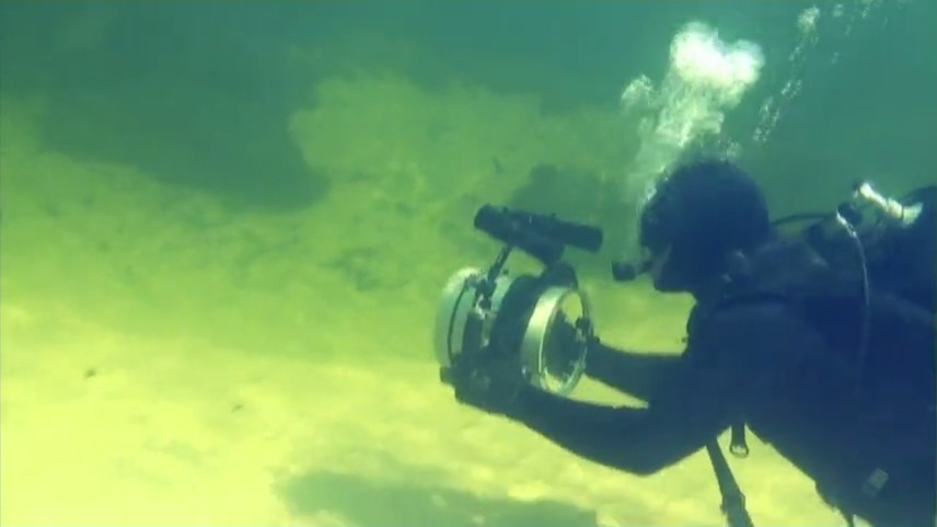 鳄鱼盛宴剧照的剧照