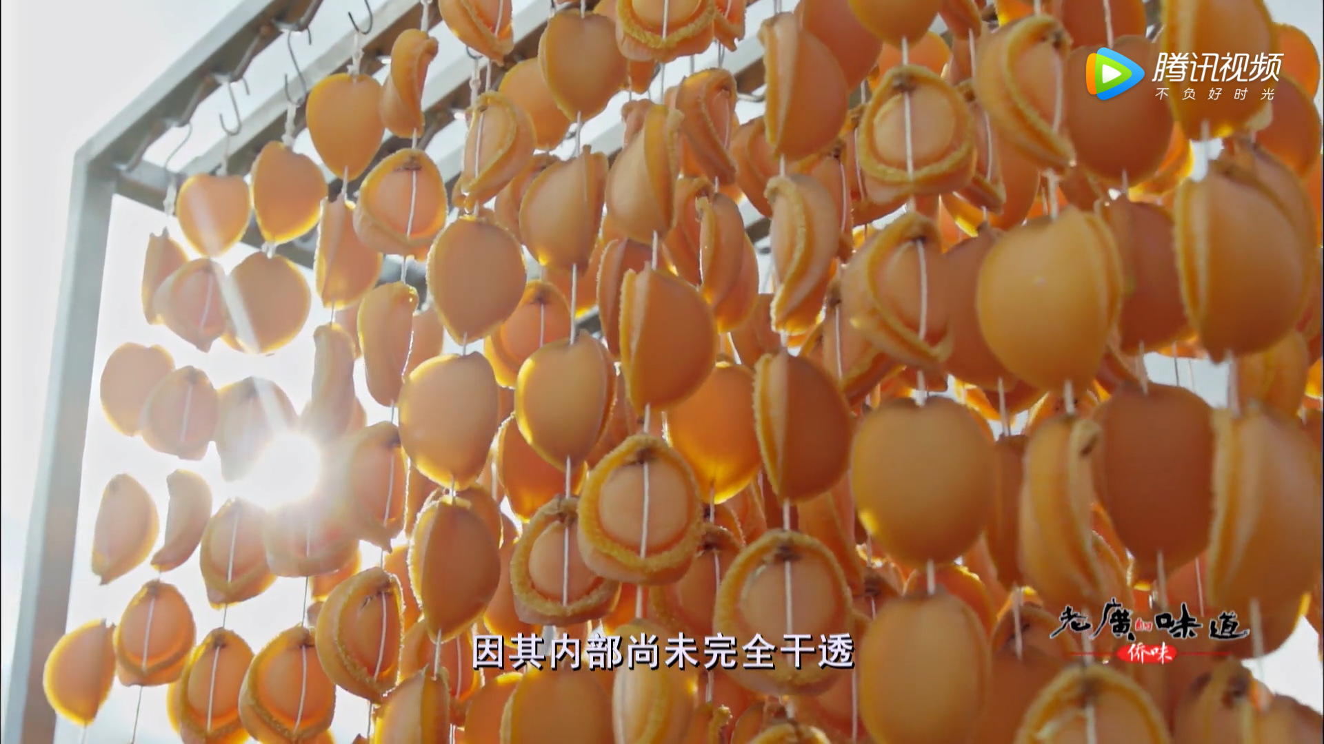 老广的味道 第四季剧照的剧照