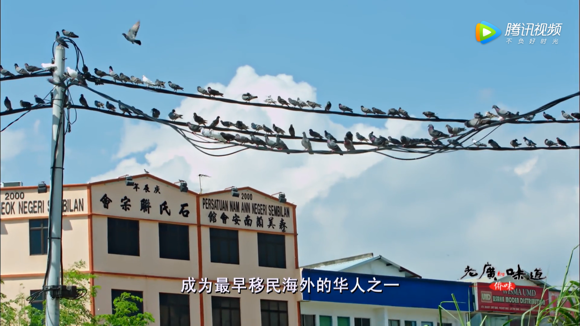 老广的味道 第四季剧照的剧照