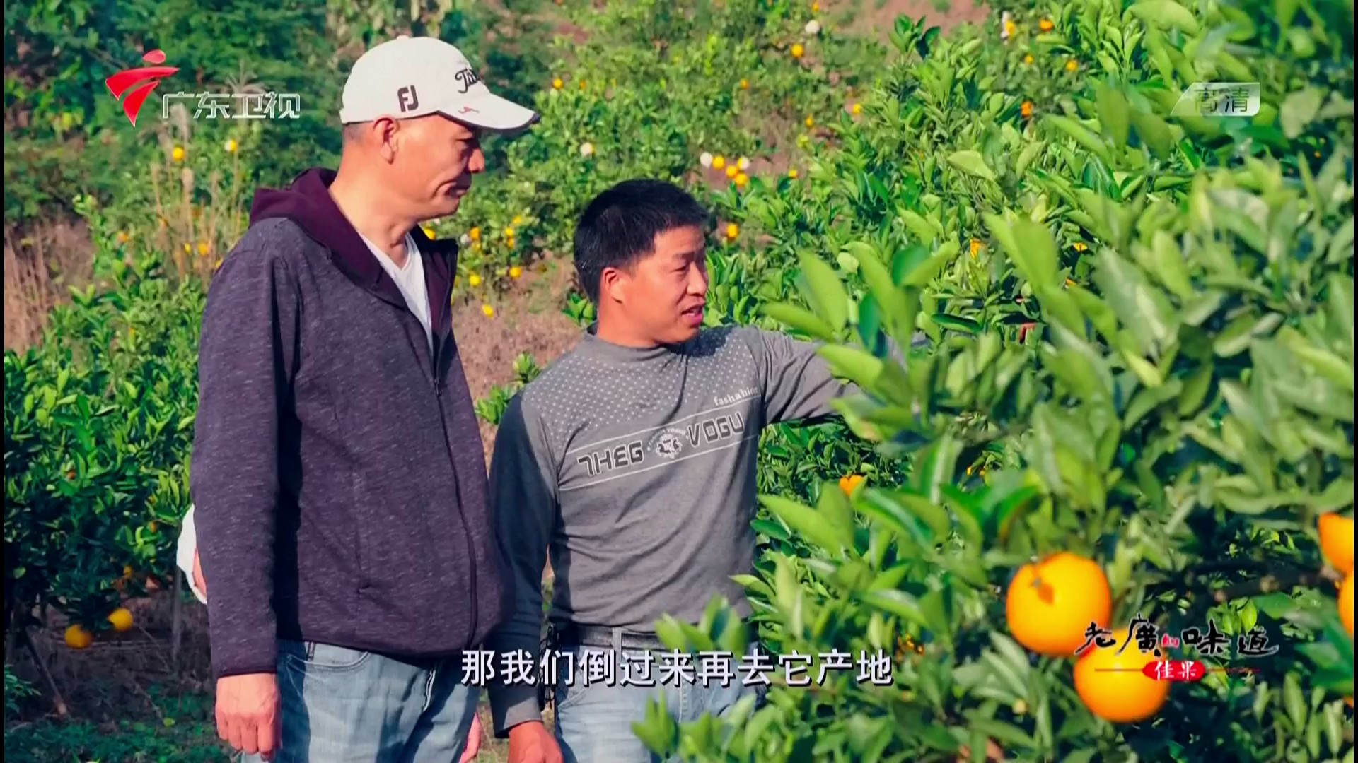 老广的味道 第四季剧照的剧照