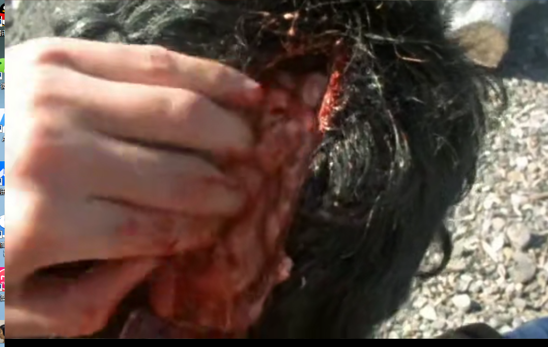 坏品位剧照的剧照