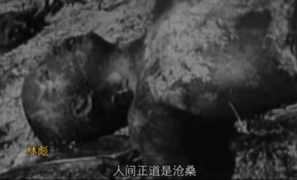 文革宣传画剧照的剧照