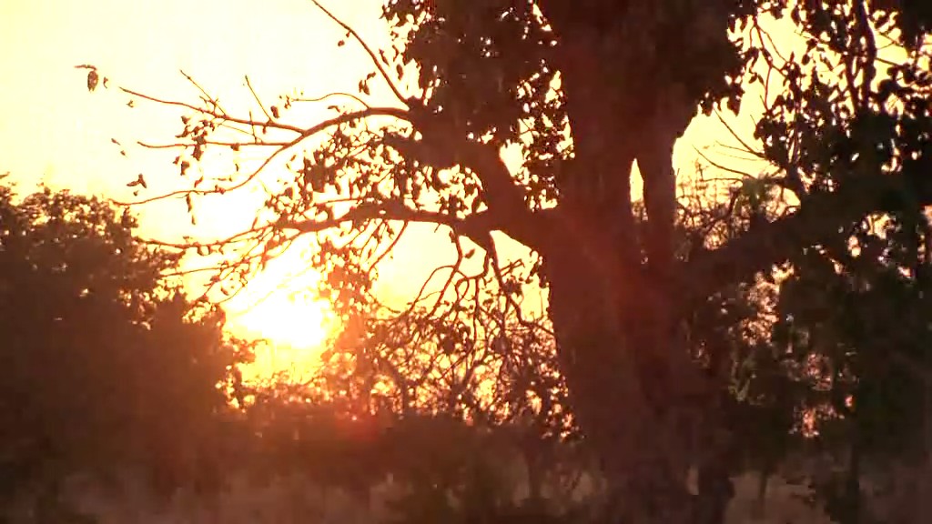 尸地余生剧照的剧照