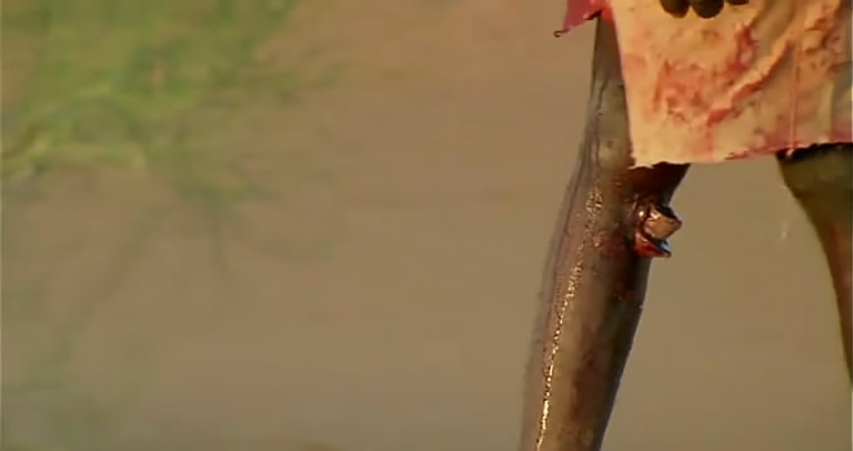 尸地余生剧照的剧照