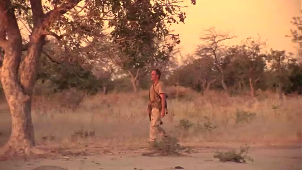 尸地余生剧照的剧照