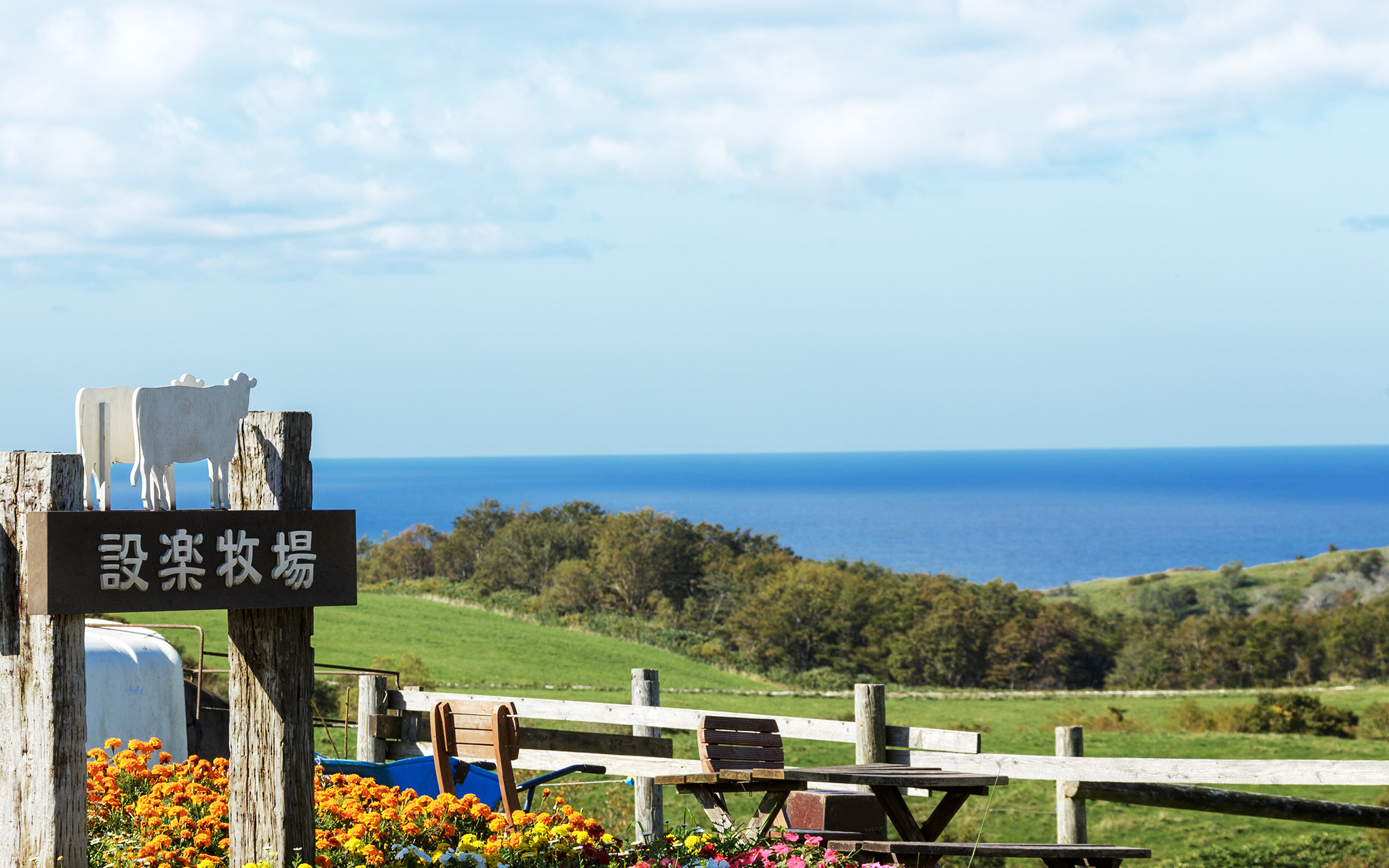 天空餐厅剧照的剧照
