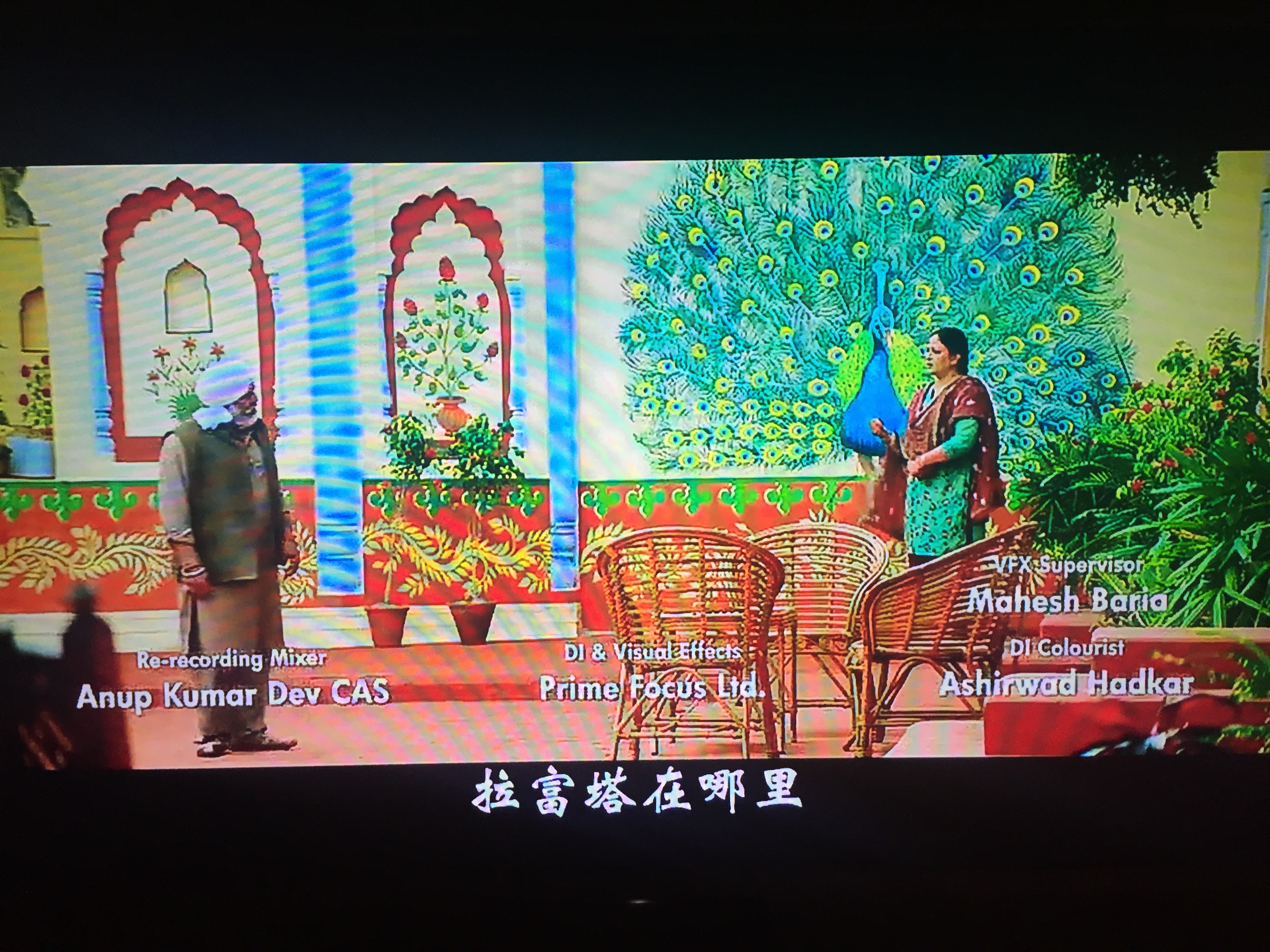 辛格金闪闪剧照的剧照