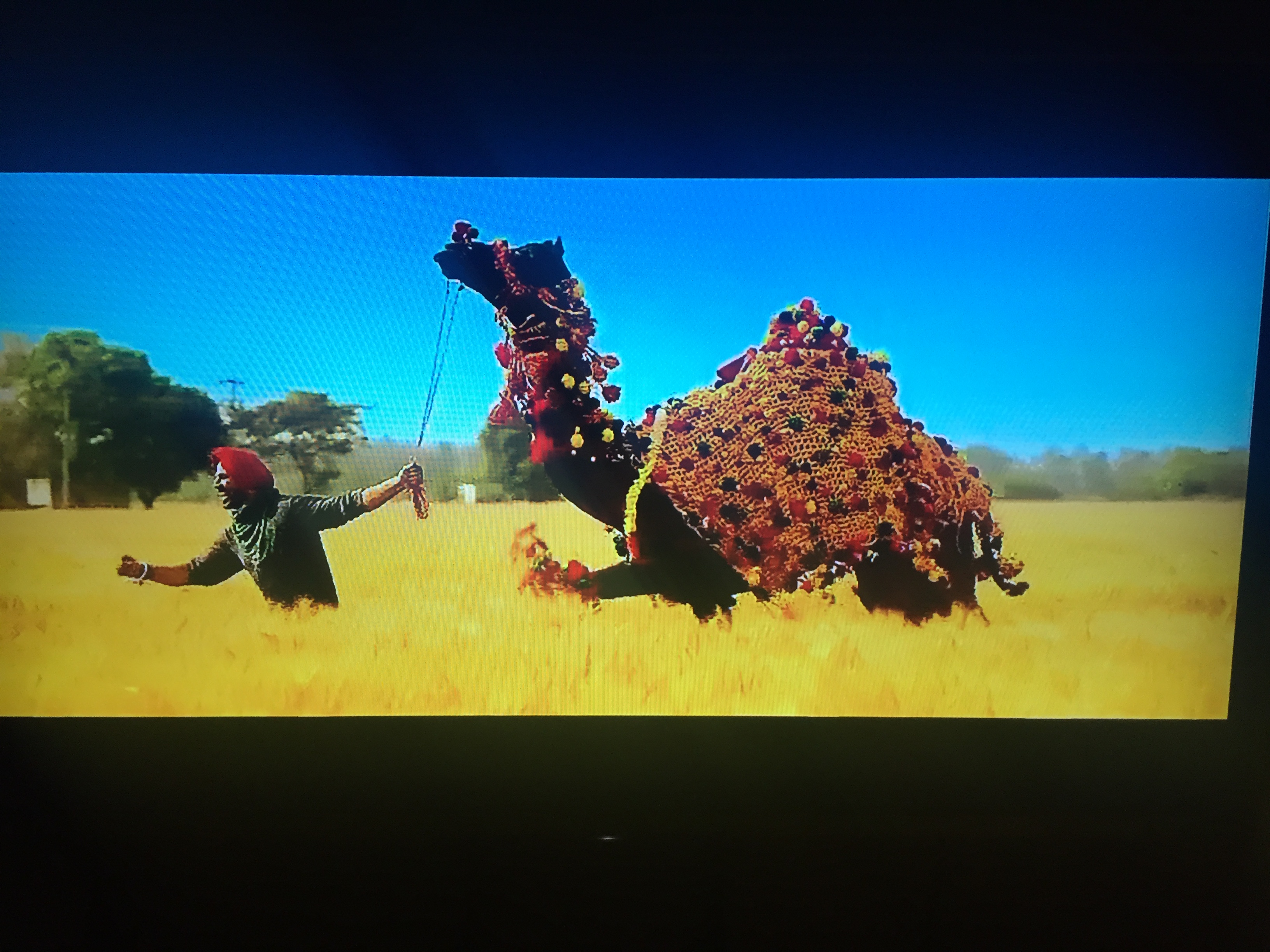 辛格金闪闪剧照的剧照